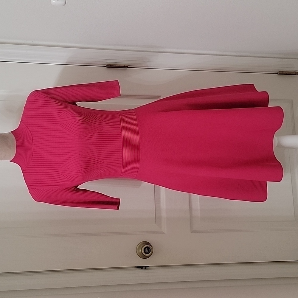 Ted Baker, Size 3 (US 8-10) Viviiyy Engineered Skater Dress, Hot Pink, EUC